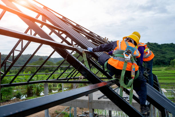 Best Roof Gutter Cleaning  in Stevenson, AL
