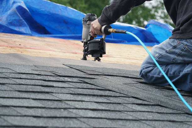 Best Metal Roofing Contractor  in Stevenson, AL