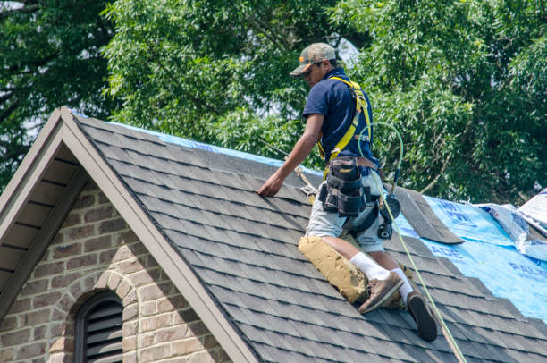 Quick and Trustworthy Emergency Roof Repair Services in Stevenson, AL